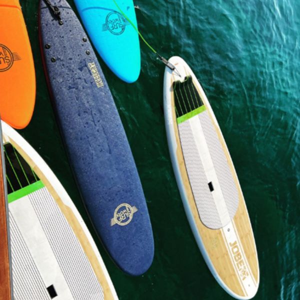 Paddle boards in Les Canoubiers sailing club